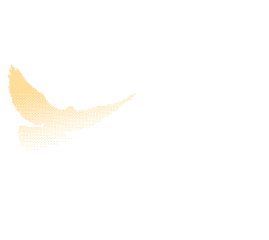 ""
