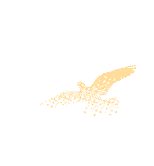 ""
